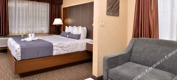 好莱坞广场贝斯特韦斯特酒店(Best Western Hollywood Plaza Inn Hotel - Hollywood Walk of Fame La)图片