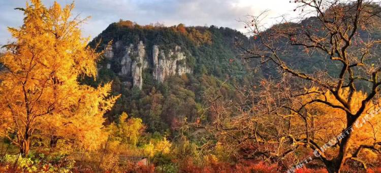 余姚峙岭景观饭店图片