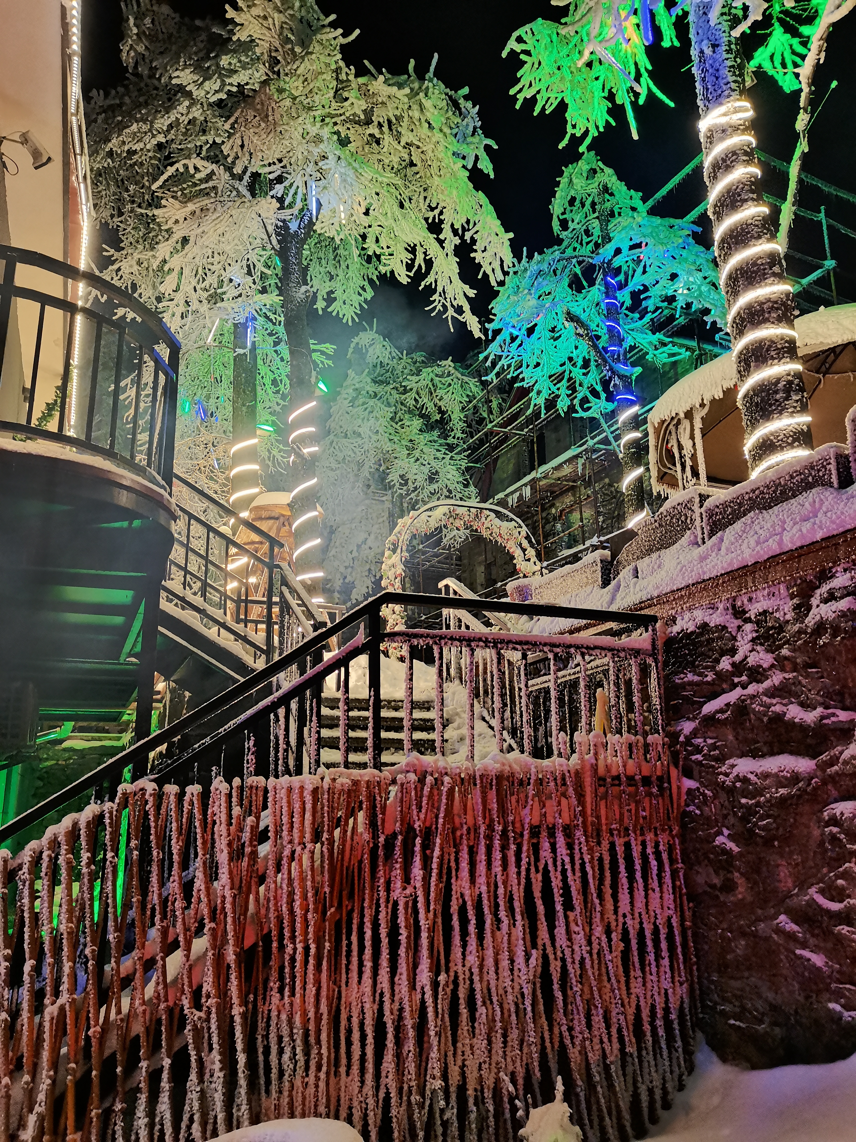 Bird's nestOver view