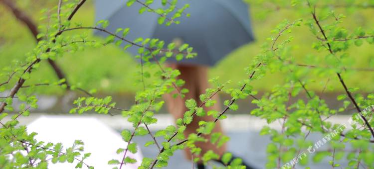 都江堰沁祥缘民宿图片