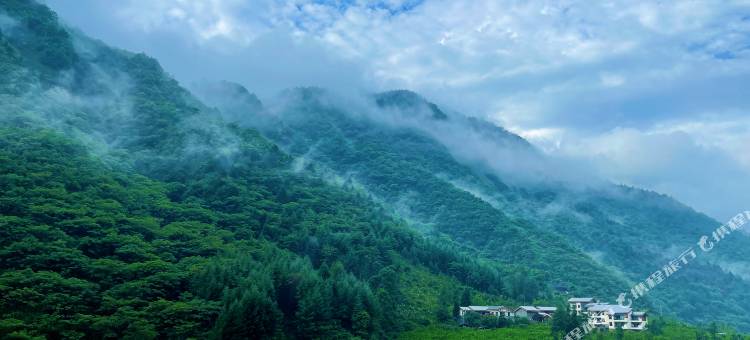 卧龙篱夏私汤民宿图片