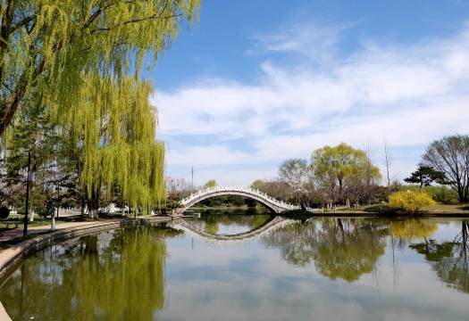 北京和园景逸大酒店图片