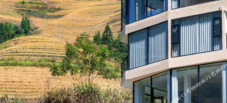 隐禾·野奢民宿(龙脊梯田观景台店)图片