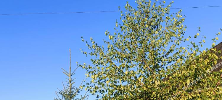 白哈巴叶尔肯温馨家园图片