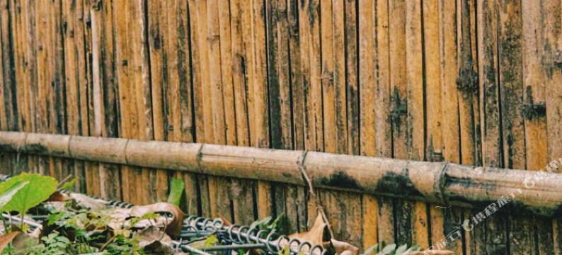 南京中山陵行者房车营地酒店图片