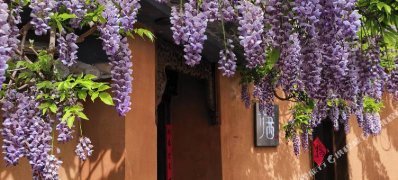 大理沙溪吾栖民宿图片