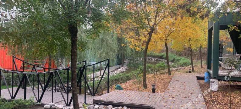 枣庄翼龙湾柜族部落图片