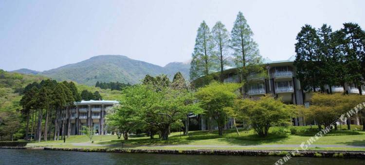 箱根芦之湖皇家王子大饭店(The Prince Hakone Lake Ashinoko)图片