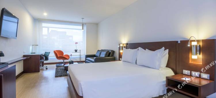 皇家城市93号NH酒店(NH Bogotá Urban 93 Royal)图片