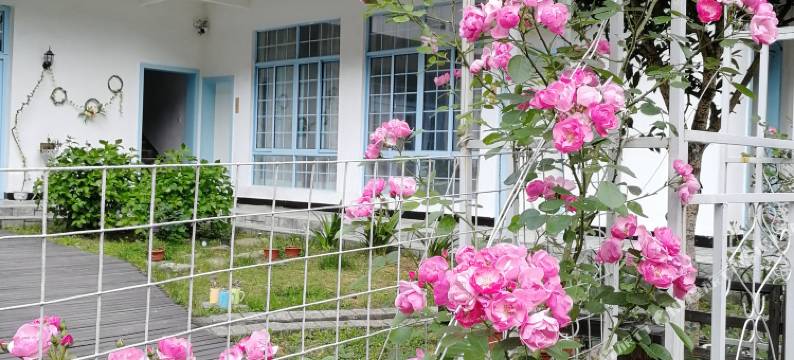 安吉花涧竹居民宿图片