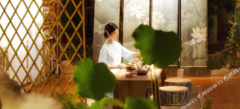 阳朔柚子花园图片