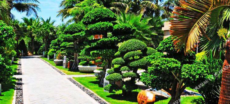 海南亚泰温泉酒店图片