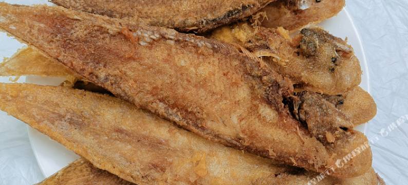 日照润禾渔家图片