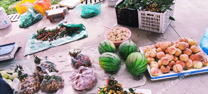 广州李明愿特色民宿图片