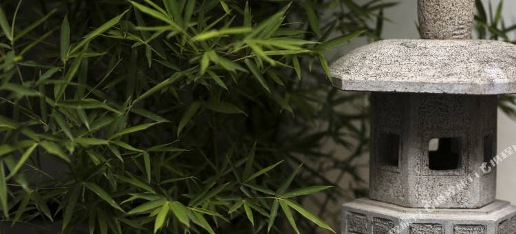 熹庭·星回日式庭院(大理古城店)图片