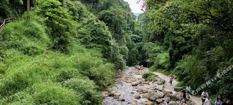 峨眉山翠竹山庄(清音阁景区店)图片