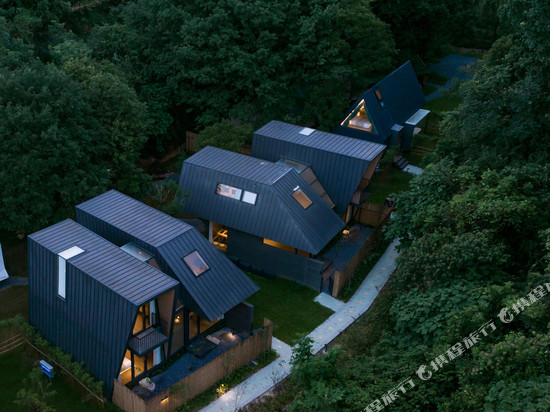 广州花都爱树·蝶的森林民宿