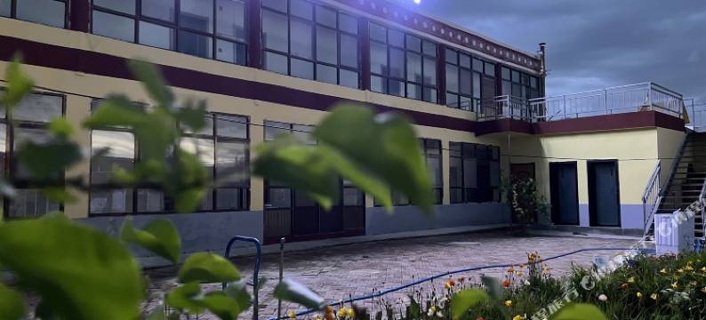 青海湖花的海美宿图片