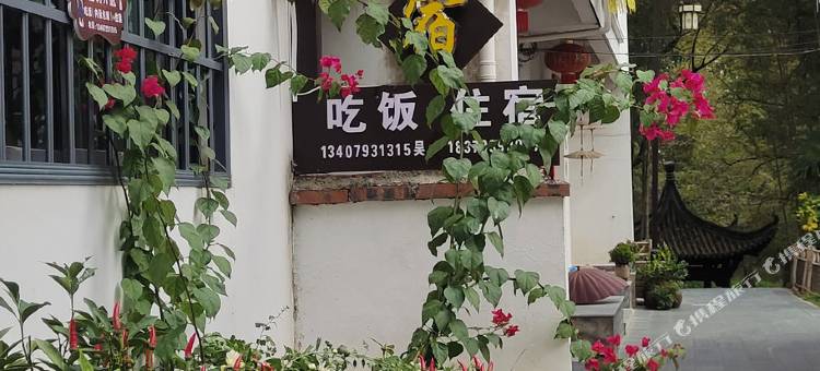 林与鸟民宿图片