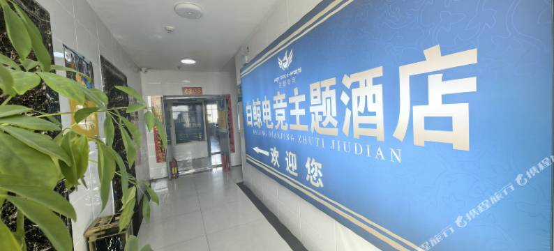 石嘴山白鲸电竞酒店(光明中学店)图片