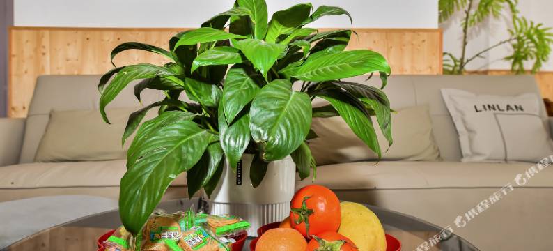 琪琪客栈(荔波小七孔景区东门店)图片