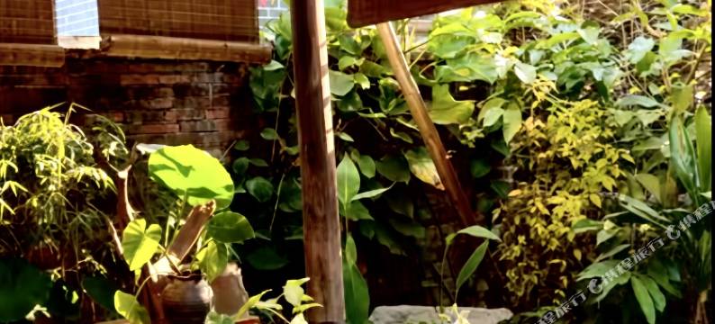 官邸民宿(阳朔遇龙河旧县码头店)图片