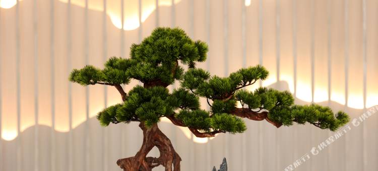 云上四季酒店(建水古城朱家花园店)图片