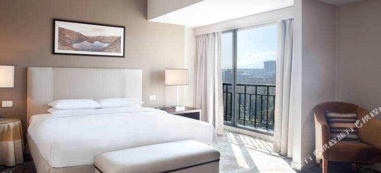 比什凯克凯悦酒店(Hyatt Regency Bishkek)图片