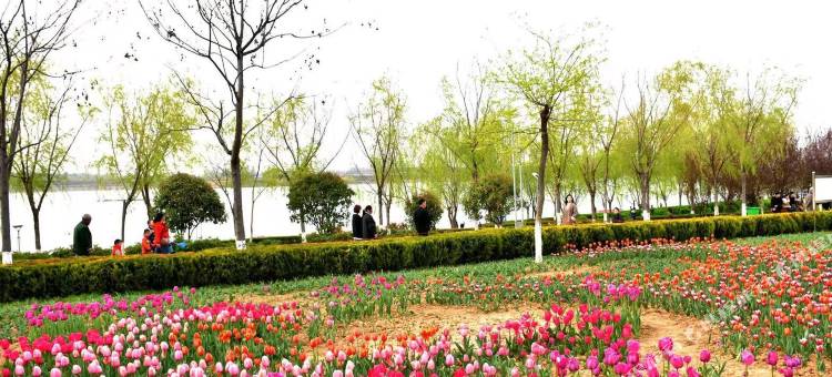 唐桐连锁酒店(新野店)图片