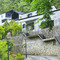 仙居仙鹤山民宿