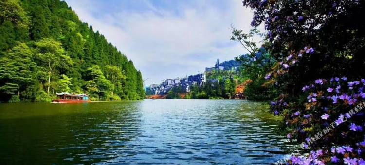 四面山桃花岛山庄图片