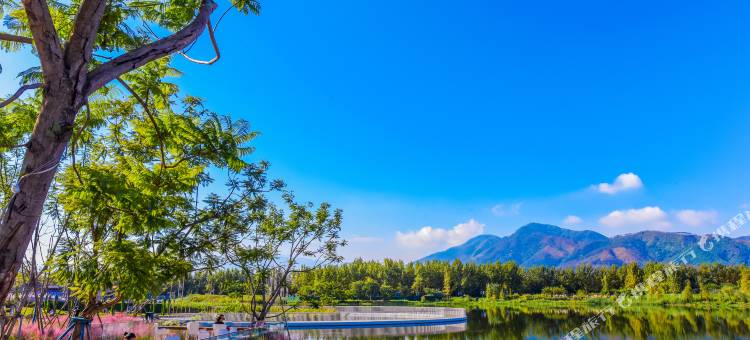 斯维登酒店(西昌万达广场邛海17度店)图片