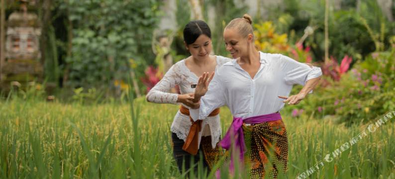 阿迪瓦纳苏维塔(Adiwana Suweta)图片