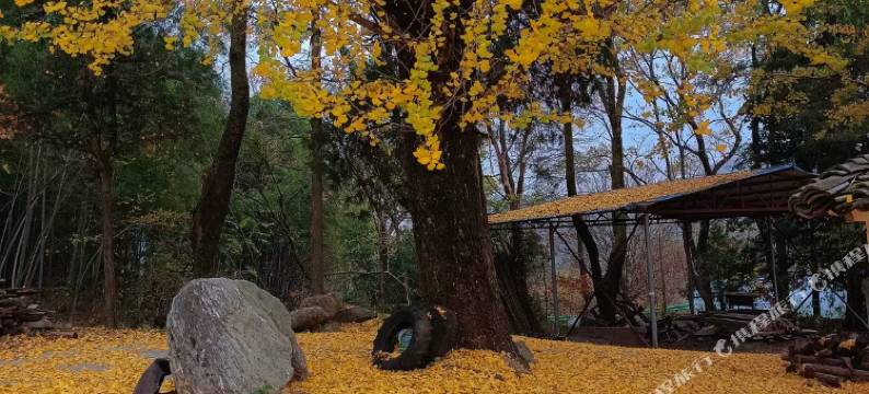 石台八棚农家山庄图片