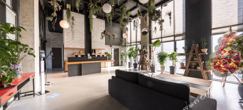 弘大朱尼比诺酒店(Junibino Hotel Hongdae)图片