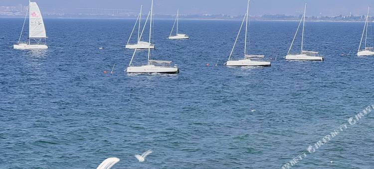 抚仙湖慢雲度假民宿(澄江化石地博物馆欢乐大世界店)图片