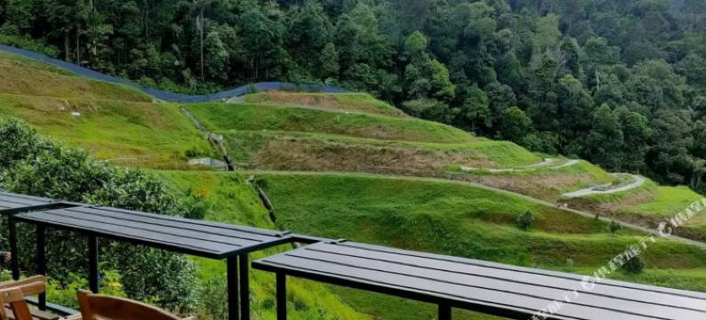 居銮塔卢拉山农家乐酒店(Talula Hill Farmstay Kluang)图片