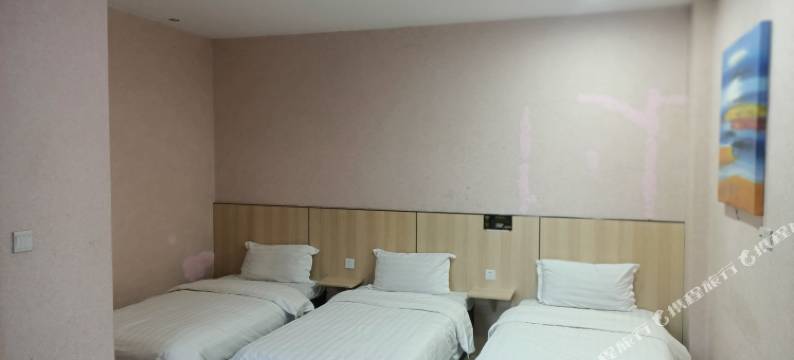 铁岭县彤多精品主题宾馆图片