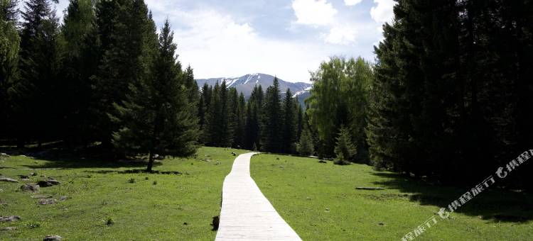 白哈巴踏雪松涧民宿图片