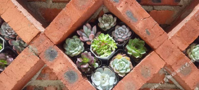 景洪杰克悟空青旅(曼城公园勐泐大佛寺店)图片