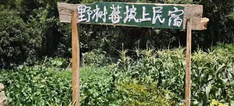 野树莓坡上民宿(安吉杭垓镇店)图片
