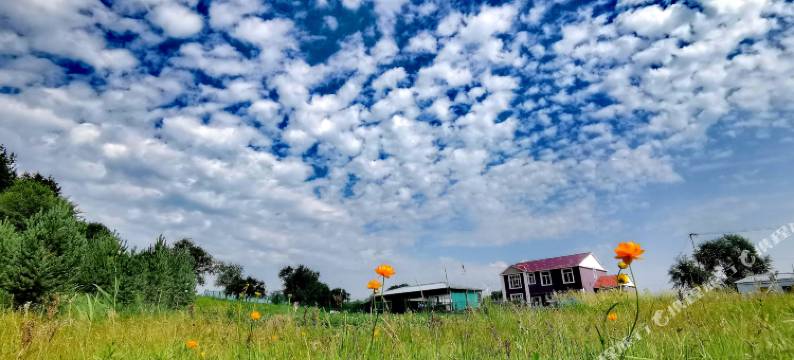 围场库尔奇勒庄园图片