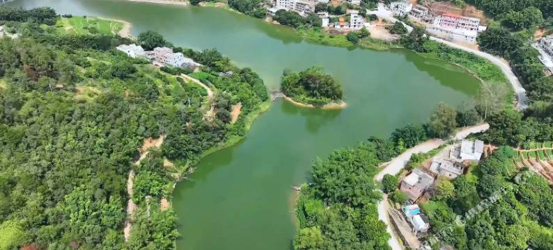 大全富悦酒店(云浮郁南店)图片