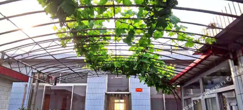 昌黎老姐农家院图片