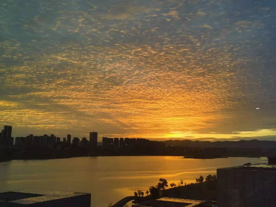 成都西博城美瑞酒店(兴隆湖湿地公园华西天府医院店)图片