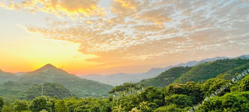 广州从化华易居精品民宿图片