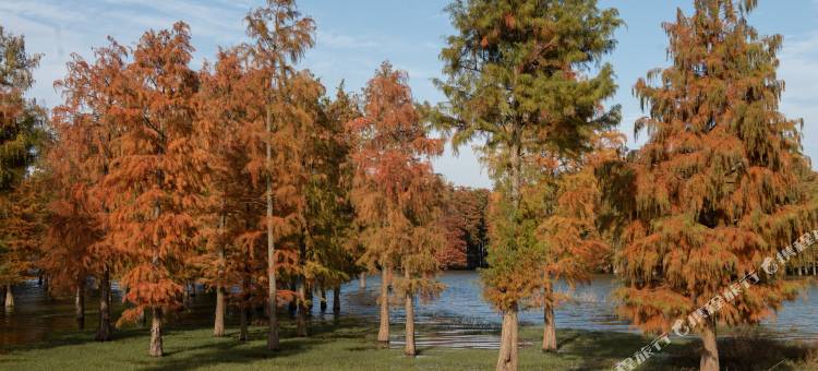 余姚山隐禾风民宿图片