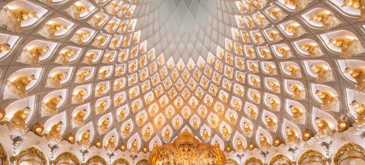 普陀山观音法界观音村居士学院图片