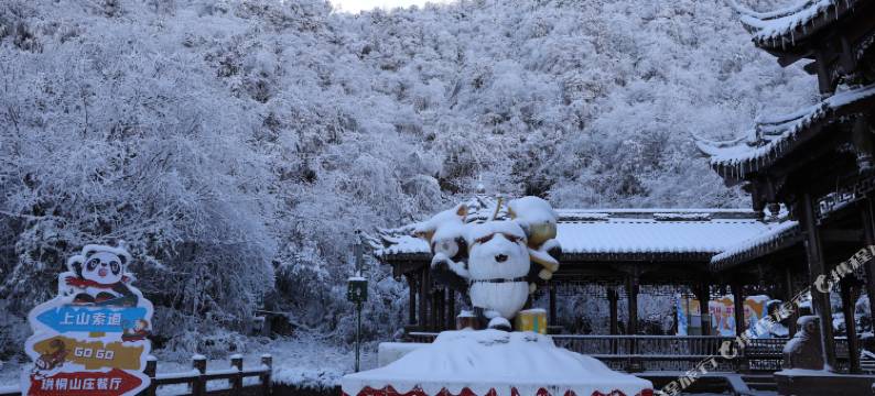 瓦屋仙居.珙桐山庄图片