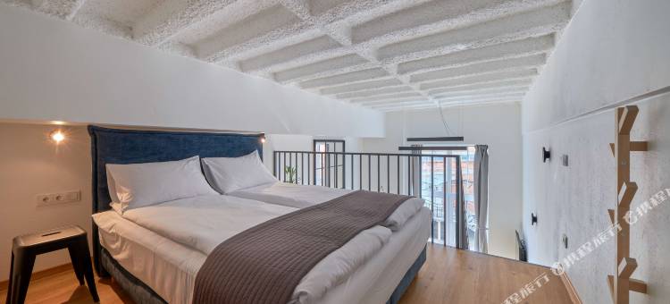女王芭芭拉中心公寓(Queen Barbora Central Lofts)图片